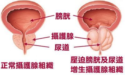 微信截图_20220927102439.png