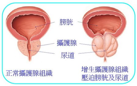 微信截图_20220927102720.png