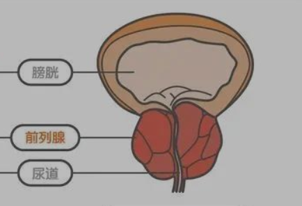 1675734727143592.png 微信截图_20230207095202.png